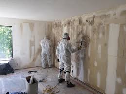 Forensic Mold Investigation in Cottage Grove, WI